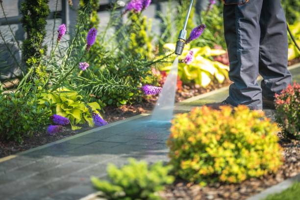 Best Animal Enclosure Cleaning  in Dillsboro, IN